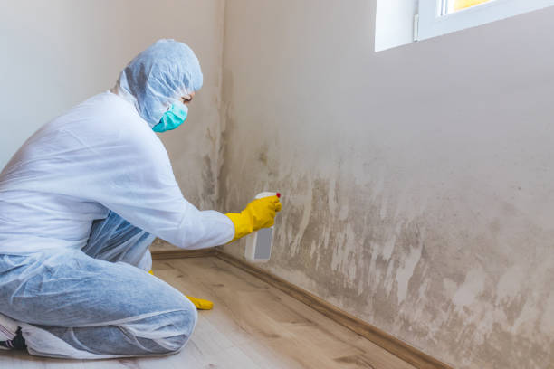 Mold inspector in Clearwater Beach performing thermal imaging